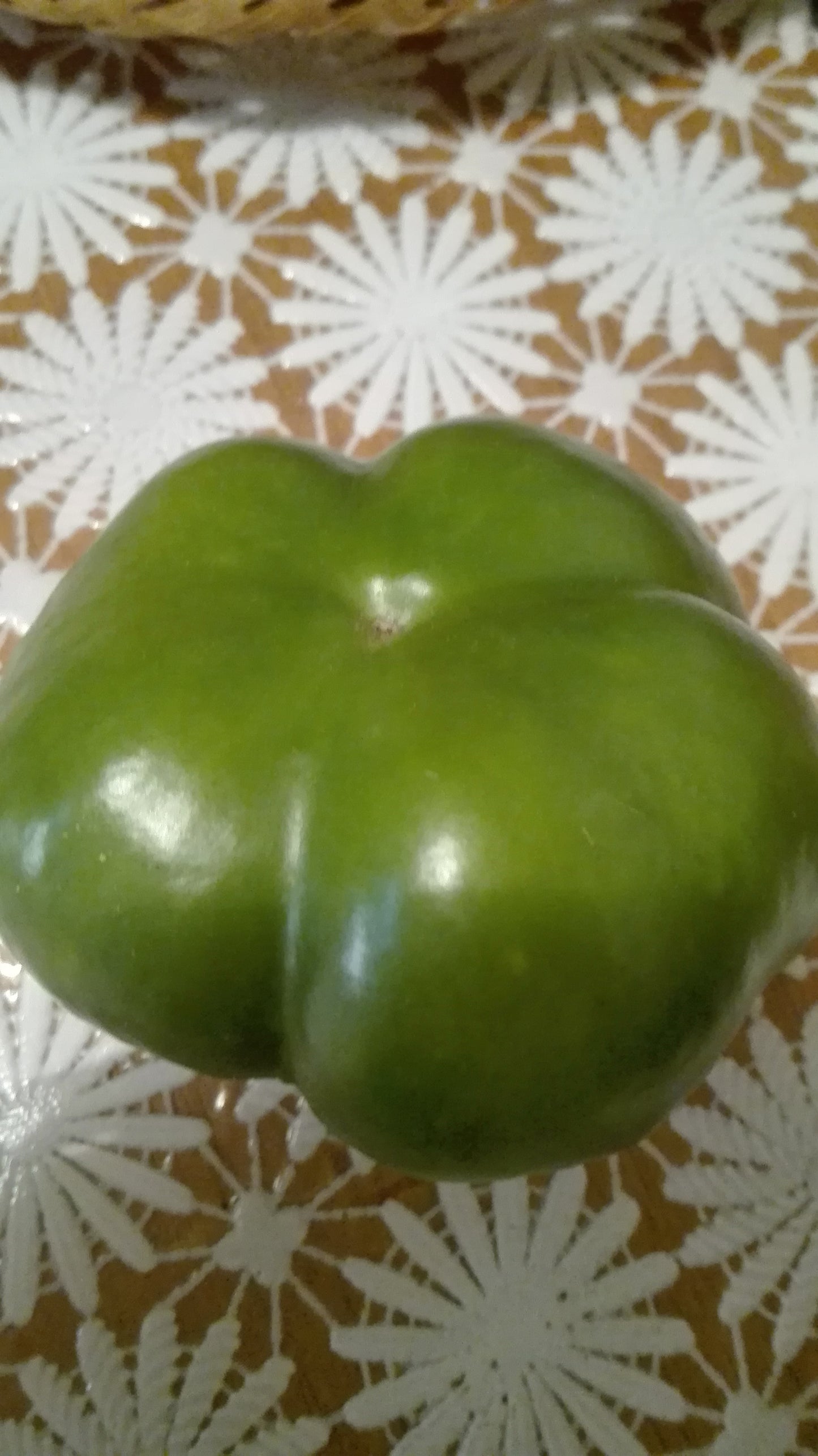 Pritamin paprika -zöld -500g