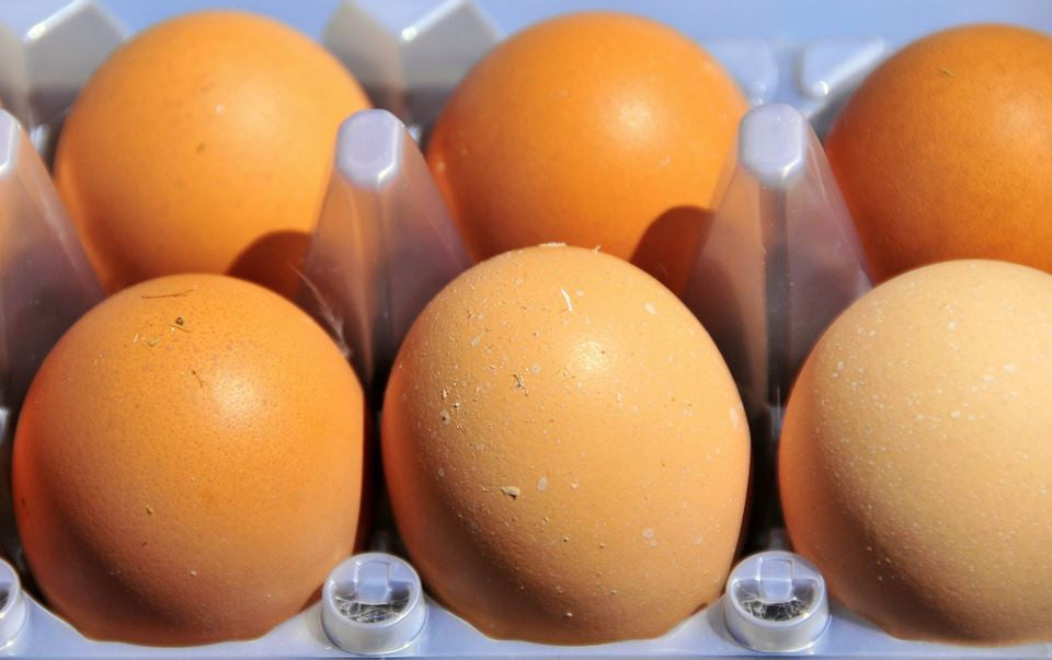 Házi kapirgálós Tojás