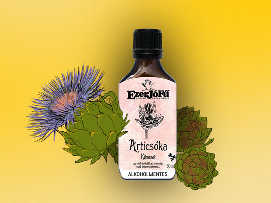 EzerJóFű -Articsóka alkoholmentes kivonat(50ml)