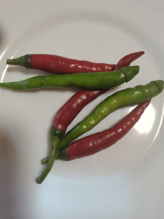 Bio chili paprika -3 db